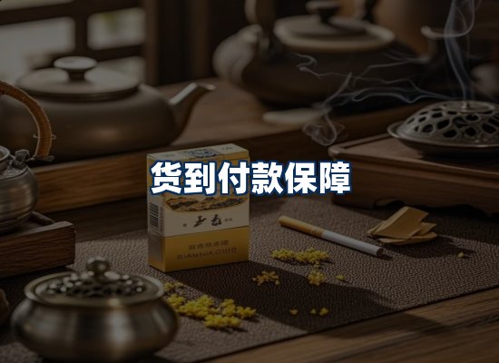 专业团队办公环境